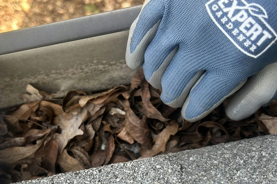 Gutter Cleaning Peachtree City GA