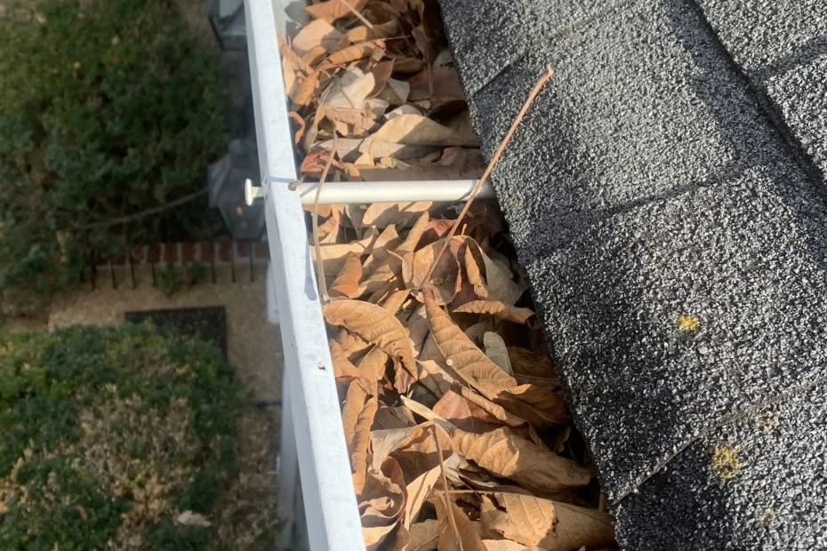 Gutter Cleaning Peachtree City GA