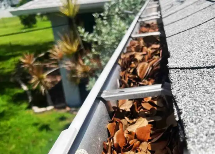 Gutter Cleaning Peachtree City GA home page